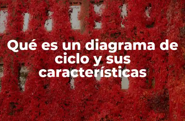 Qué es un Diagrama de Ciclo y Sus Características 2 Representación visual y estructura de los diagramas de ciclo