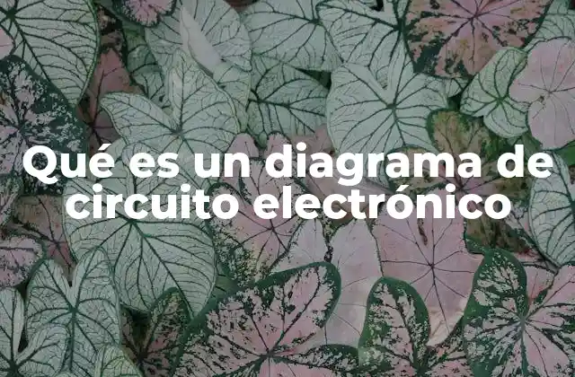 Qué es un Diagrama de Circuito Electrónico 2 La importancia de los diagramas en el diseño electrónico
