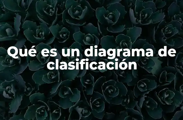 Qué es un Diagrama de Clasificación