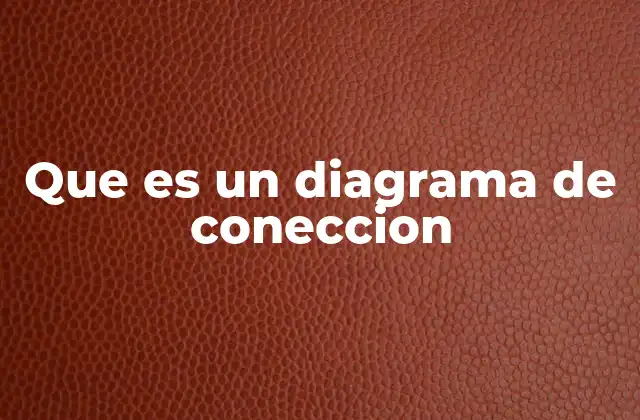 Que es un Diagrama de Coneccion
