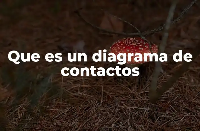 Que es un Diagrama de Contactos