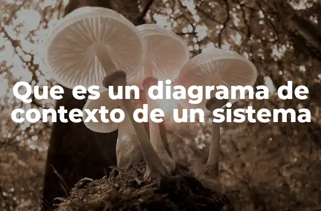 Que es un Diagrama de Contexto de un Sistema 2 La importancia de visualizar las interacciones de un sistema