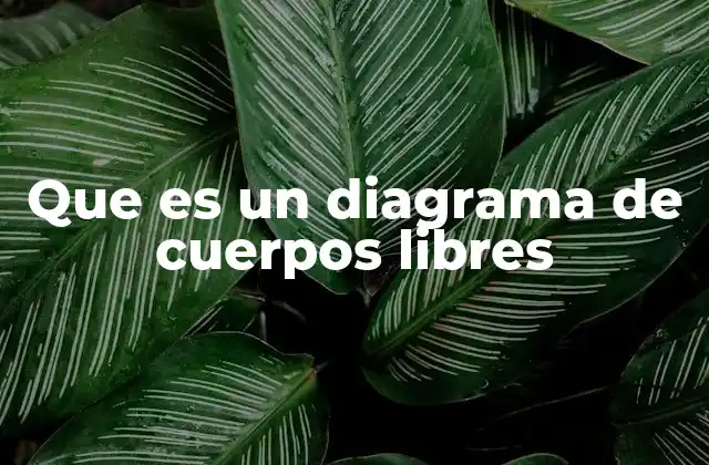 Que es un Diagrama de Cuerpos Libres