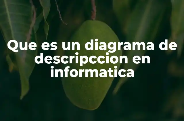Que es un Diagrama de Descripccion en Informatica