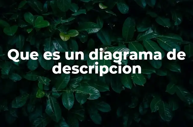 Que es un Diagrama de Descripcion