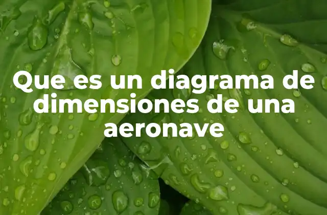 Que es un Diagrama de Dimensiones de una Aeronave 2 El papel de los diagramas de dimensiones en el diseño aeronáutico