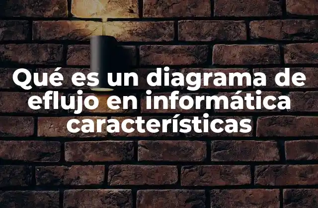 Qué es un Diagrama de Eflujo en Informática Características