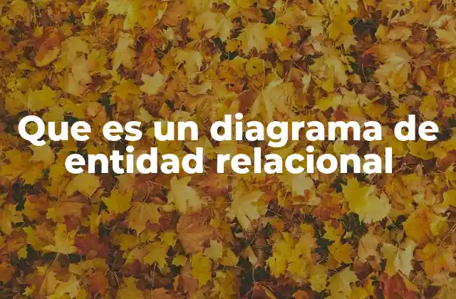 Que es un Diagrama de Entidad Relacional