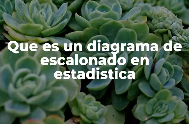 Que es un Diagrama de Escalonado en Estadistica