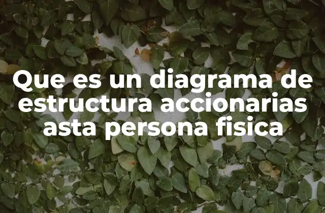 Que es un Diagrama de Estructura Accionarias Asta Persona Fisica