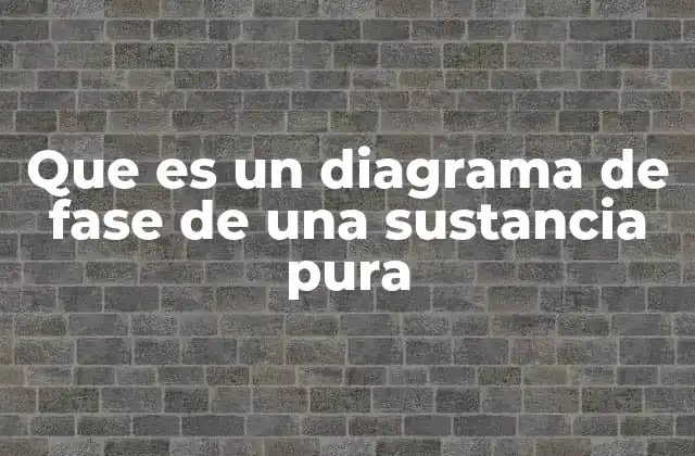 Que es un Diagrama de Fase de una Sustancia Pura