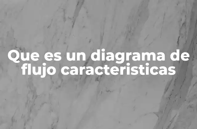 Que es un Diagrama de Flujo Caracteristicas