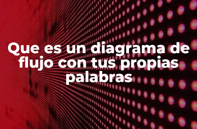 Que es un Diagrama de Flujo con Tus Propias Palabras
