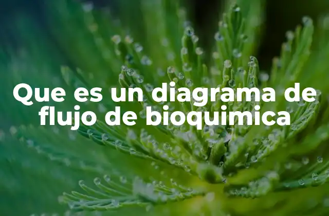 Que es un Diagrama de Flujo de Bioquimica
