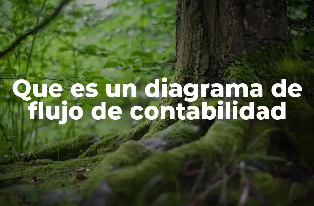 Que es un Diagrama de Flujo de Contabilidad