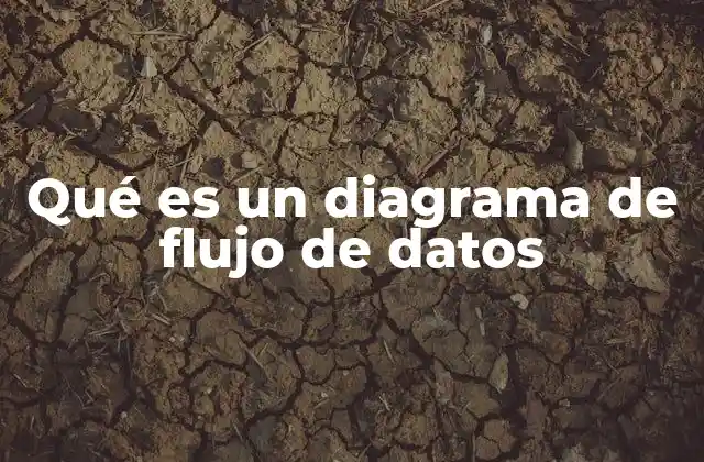 Qué es un Diagrama de Flujo de Datos