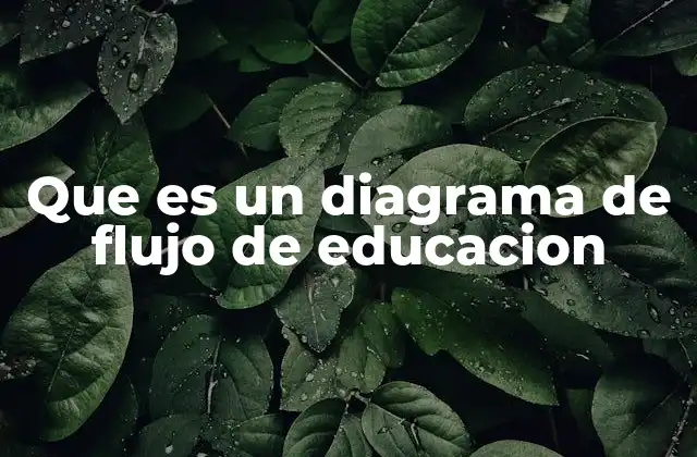 Que es un Diagrama de Flujo de Educacion