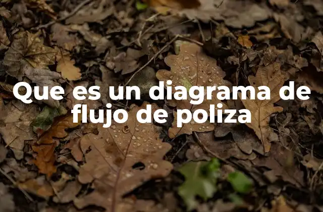 Que es un Diagrama de Flujo de Poliza