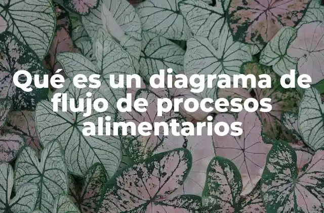 Qué es un Diagrama de Flujo de Procesos Alimentarios
