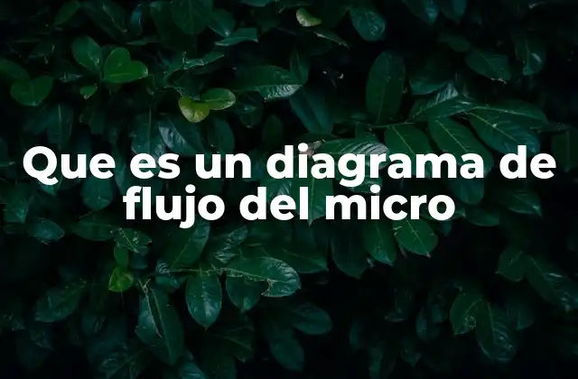 Que es un Diagrama de Flujo Del Micro