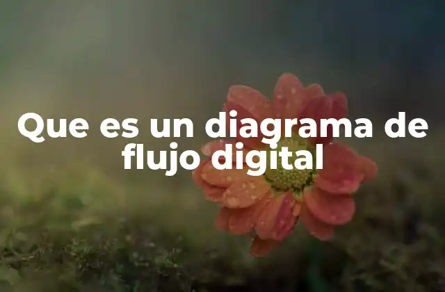 Que es un Diagrama de Flujo Digital