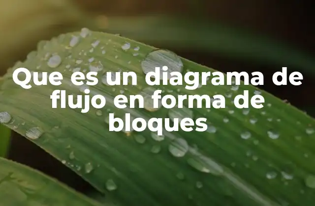Que es un Diagrama de Flujo en Forma de Bloques