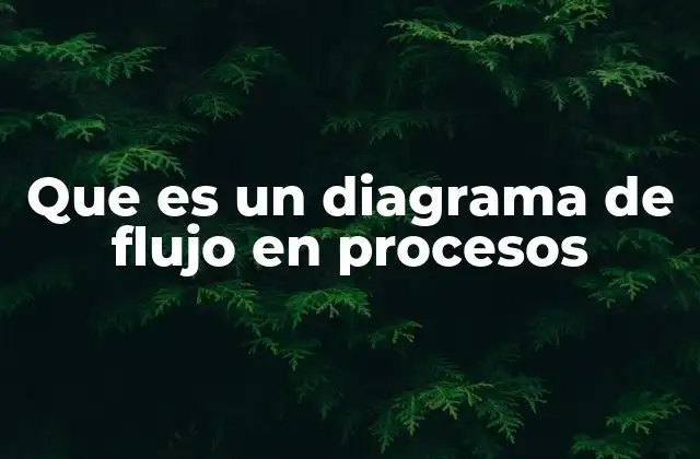 Que es un Diagrama de Flujo en Procesos 2 La importancia de representar visualmente los pasos de un proceso