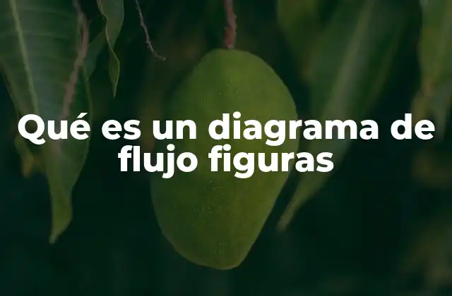 La importancia de las figuras en la representación de procesos