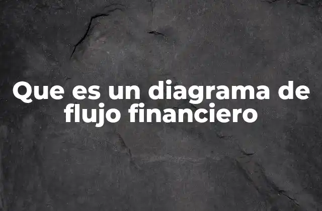 Que es un Diagrama de Flujo Financiero