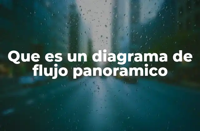 Que es un Diagrama de Flujo Panoramico