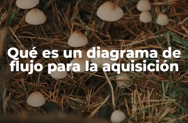 Qué es un Diagrama de Flujo para la Aquisición