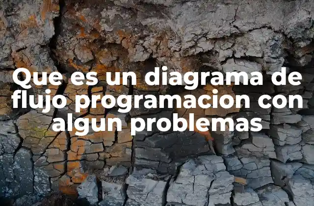 Que es un Diagrama de Flujo Programacion con Algun Problemas