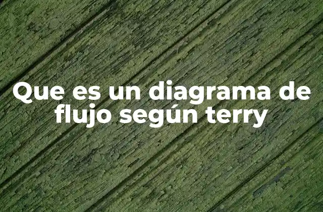 Que es un Diagrama de Flujo según Terry