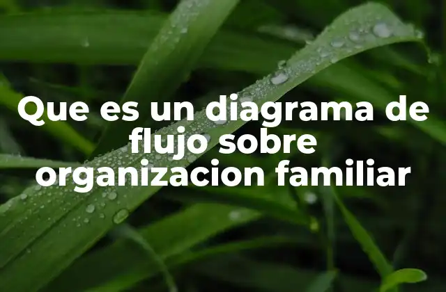 Que es un Diagrama de Flujo sobre Organizacion Familiar