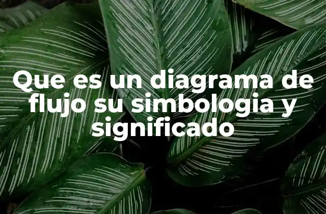 Que es un Diagrama de Flujo Su Simbologia y Significado