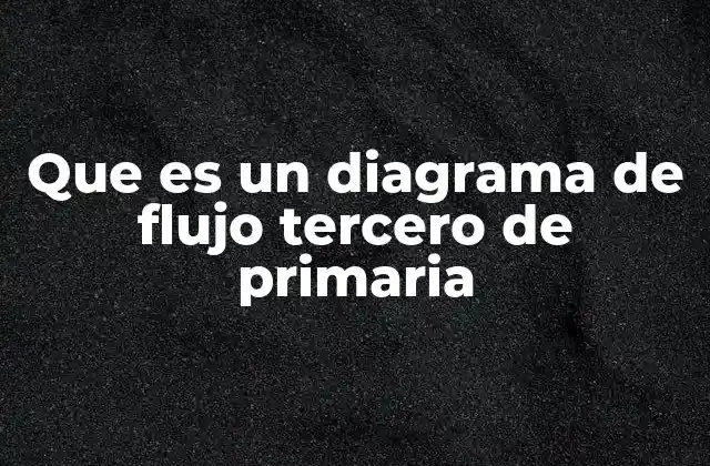 Que es un Diagrama de Flujo Tercero de Primaria