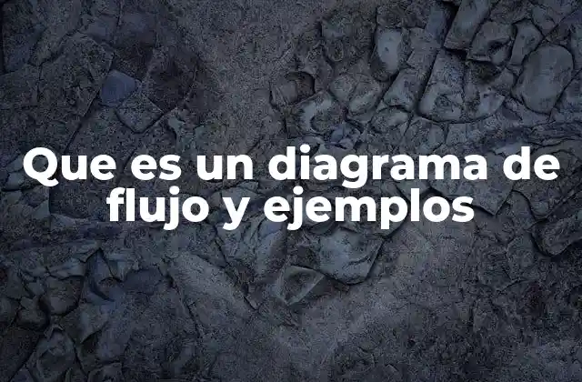Que es un Diagrama de Flujo y Ejemplos