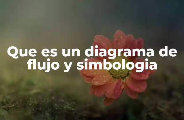 Que es un Diagrama de Flujo y Simbologia