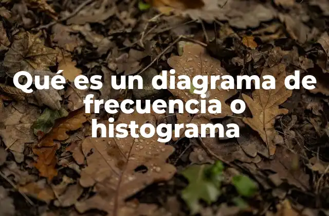 Qué es un Diagrama de Frecuencia o Histograma