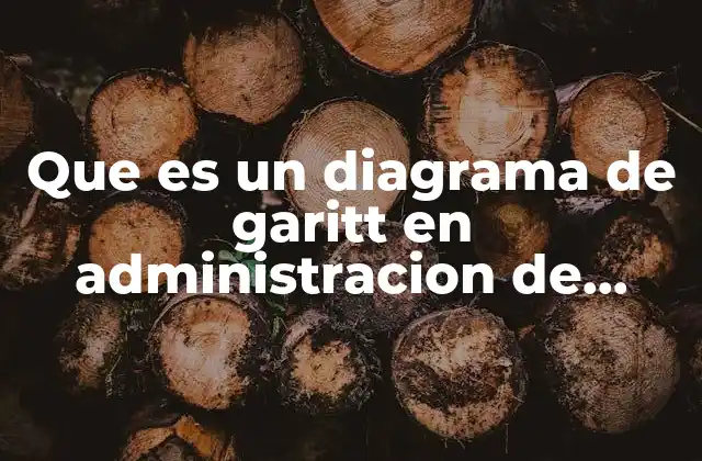 Que es un Diagrama de Garitt en Administracion de Enfermeria