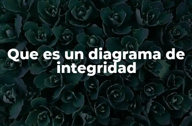 Que es un Diagrama de Integridad