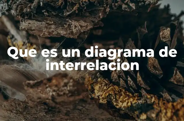 Que es un Diagrama de Interrelacion