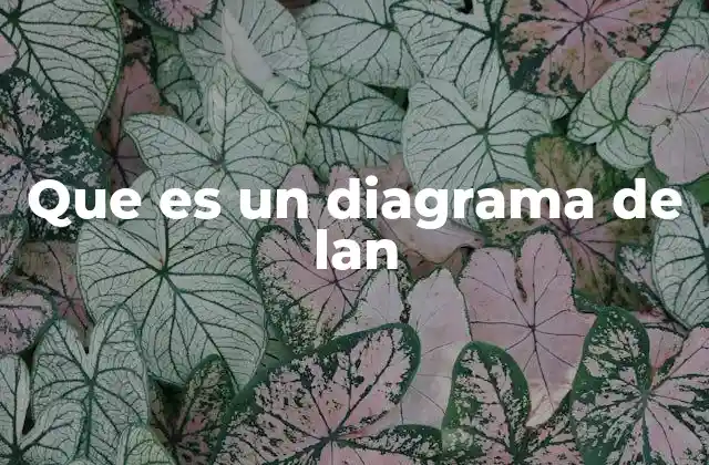 Que es un Diagrama de Lan