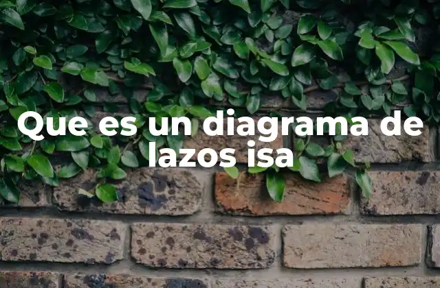 Que es un Diagrama de Lazos Isa
