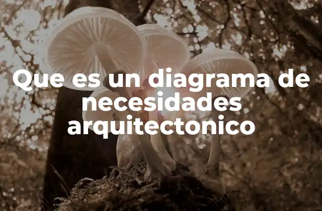 Que es un Diagrama de Necesidades Arquitectonico