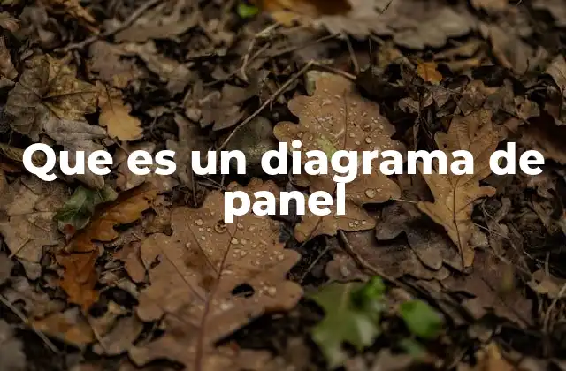 Que es un Diagrama de Panel