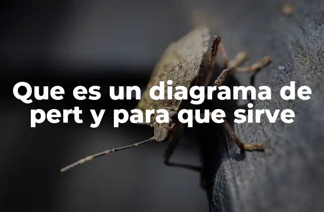 La importancia de los diagramas de PERT en la planificación