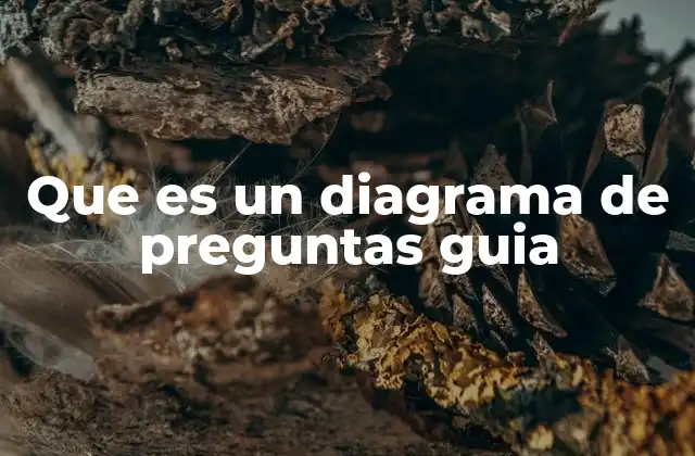 Que es un Diagrama de Preguntas Guia