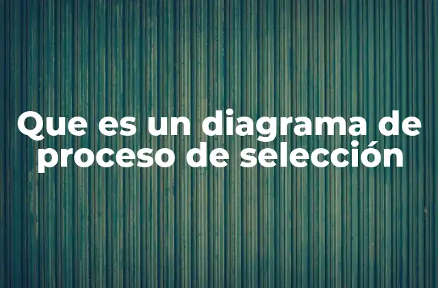 Que es un Diagrama de Proceso de Selección