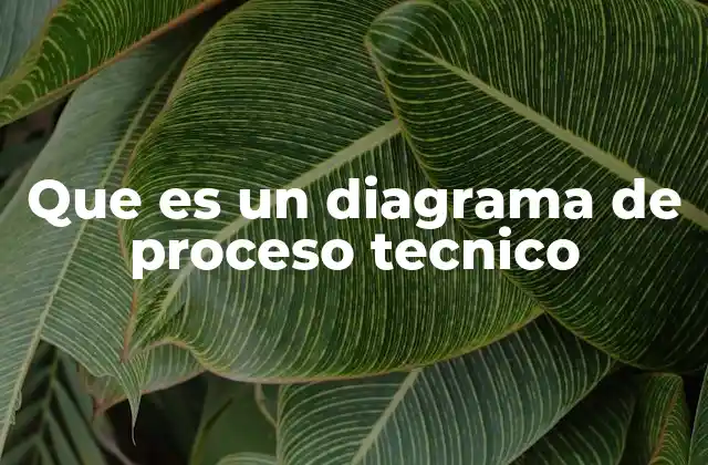 Que es un Diagrama de Proceso Tecnico